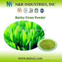 Organic Barley Grass Powder Green Powder